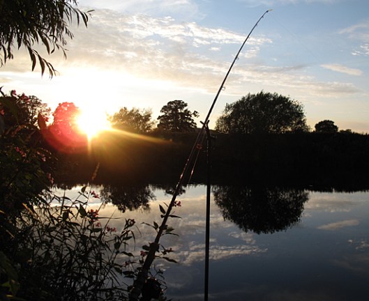 Wye barbel 2011 a
