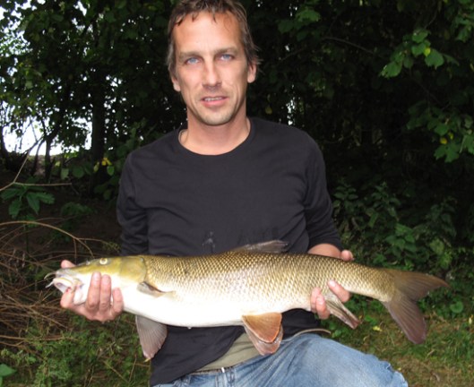 wye barbel 2011 c