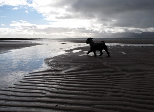 Ruby Ettrick bay