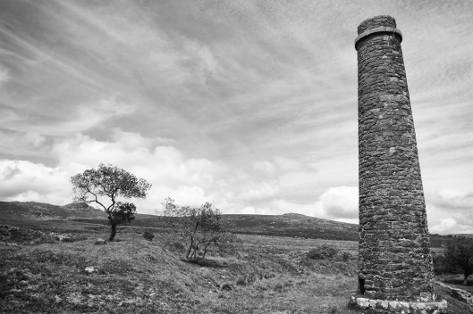 Dartmoor trout fishing