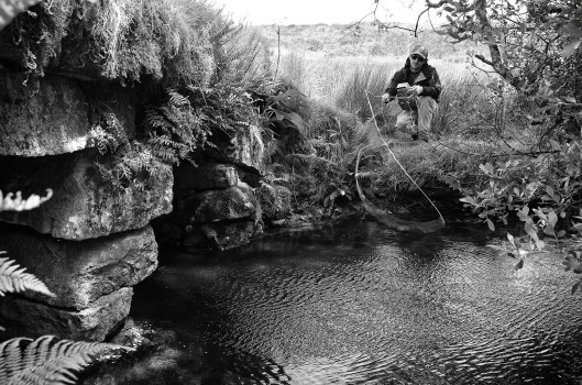 Dartmoor trout fishing