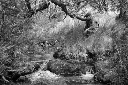 Dartmoor trout fishing
