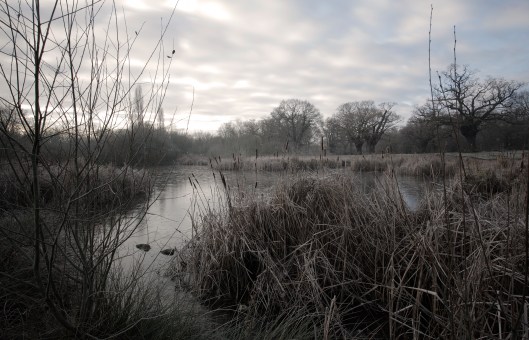 Warren pond - epping