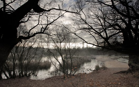 Warren pond Epping forest